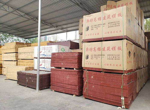 邯鄲建筑模板批發與建筑砌塊銷售 河北閩能廠家的專業供應服務